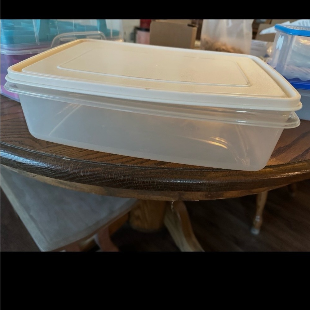 Tupperware Cream and Clear Storage Container